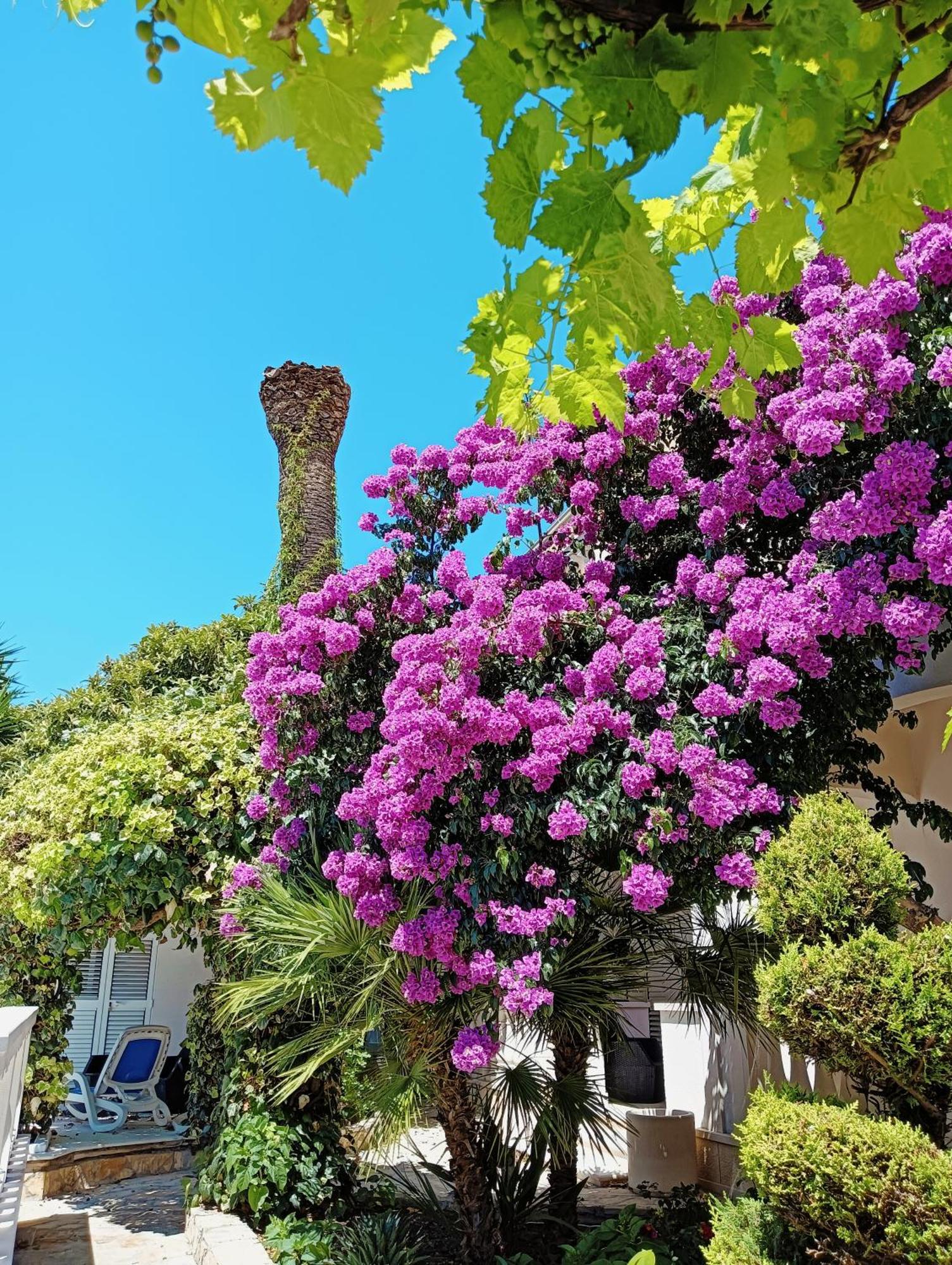 Villa Aspalathos Kaštela Kültér fotó